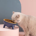 Cat Dog Bowl With Stand Pet Feeding Food Bowls