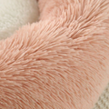 The Foxxy Bed