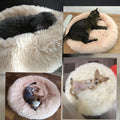 The Cloud Bed