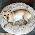 The Cloud Bed