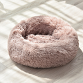The Cloud Bed