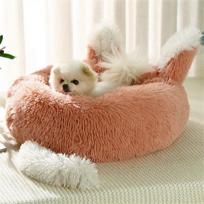 The Foxxy Bed