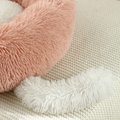 The Foxxy Bed